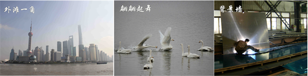 香港内部正版免费资料