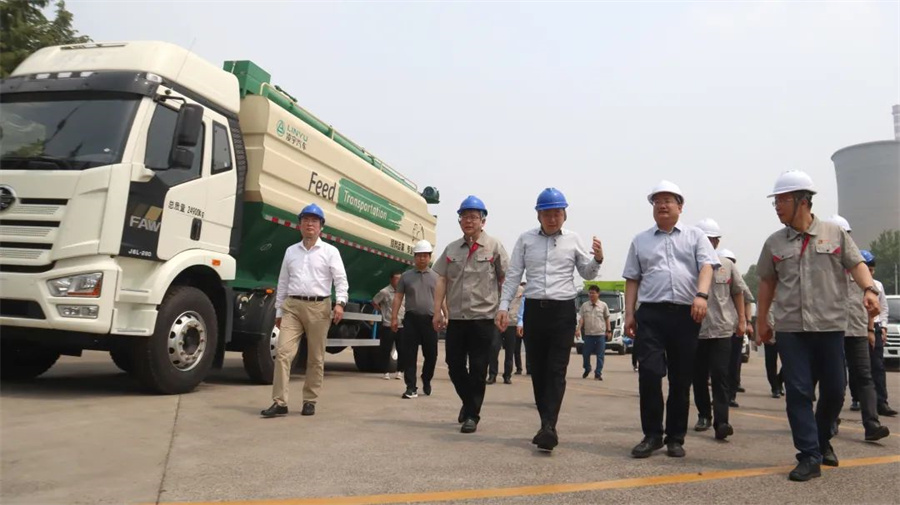 香港内部正版免费资料