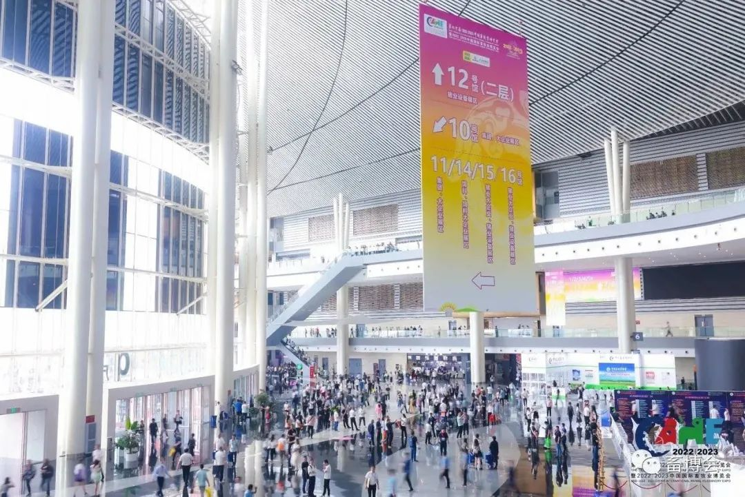 香港内部正版免费资料