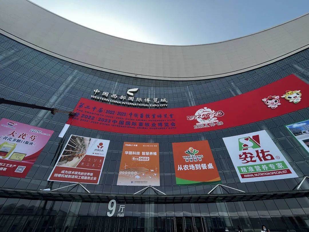 香港内部正版免费资料