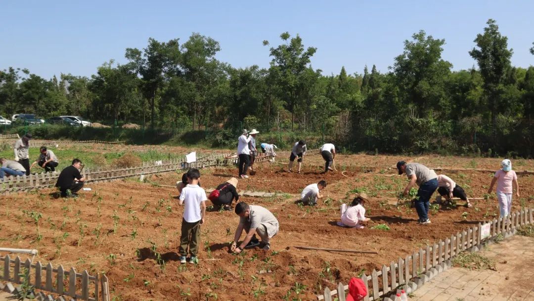 香港内部正版免费资料