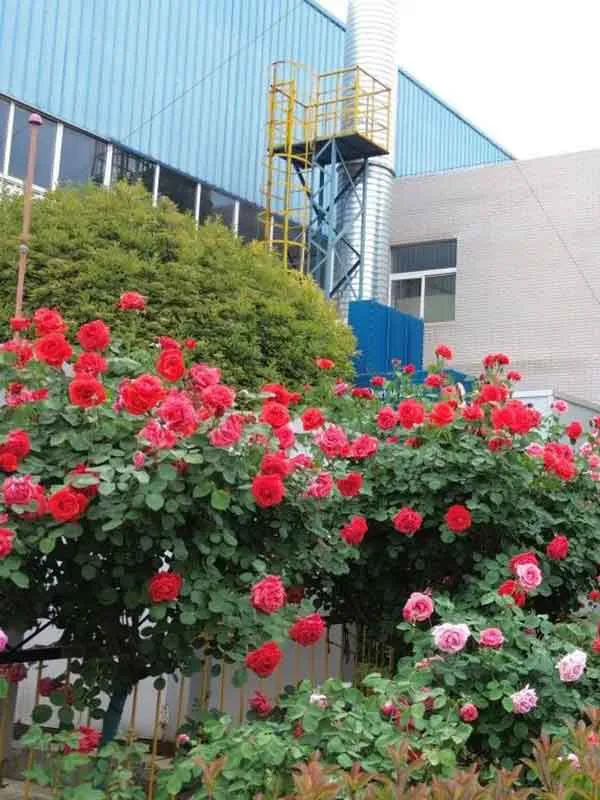 香港内部正版免费资料