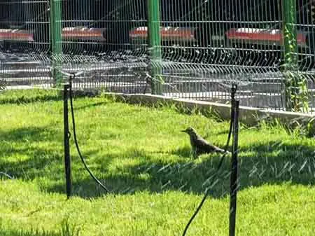 香港内部正版免费资料