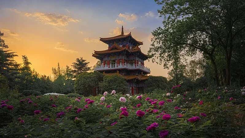 香港内部正版免费资料