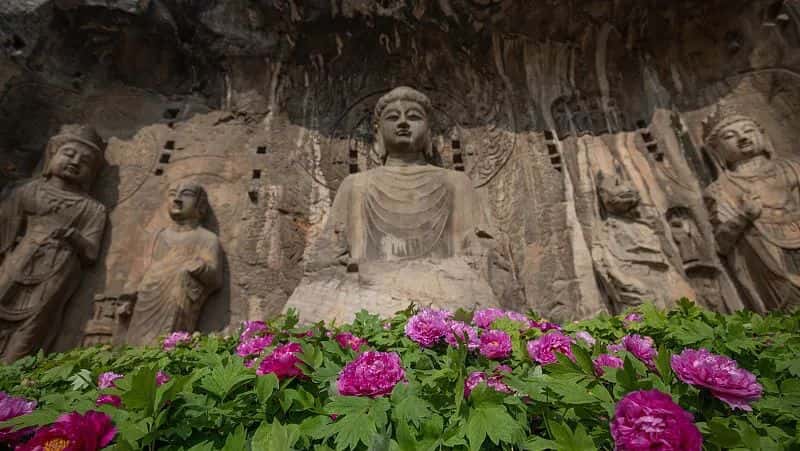 香港内部正版免费资料
