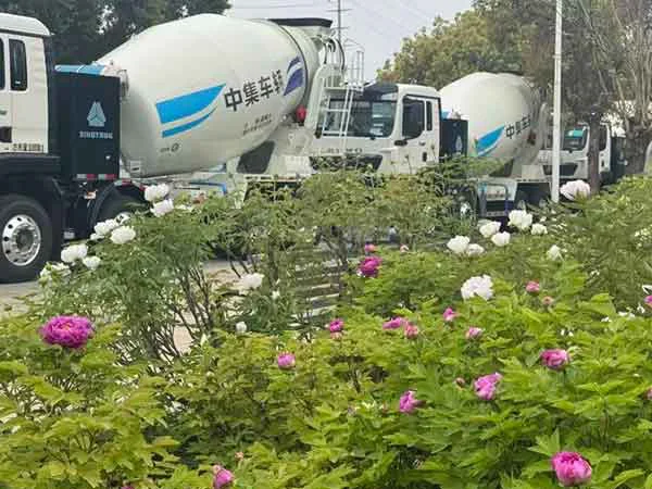 洛阳牡丹正当红！中集车辆DTB・搅拌车业务集团花香迎客，宾客盈门
